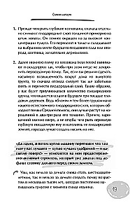 Дачный участок с умным подходом. С чего начать и как организовать участок без ошибок