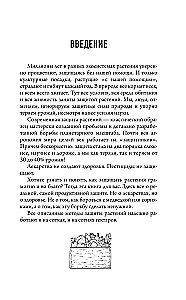 Защита урожая от болезней и вредителей