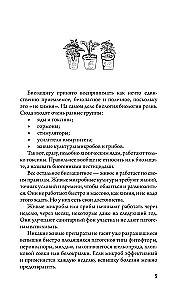 Защита урожая от болезней и вредителей