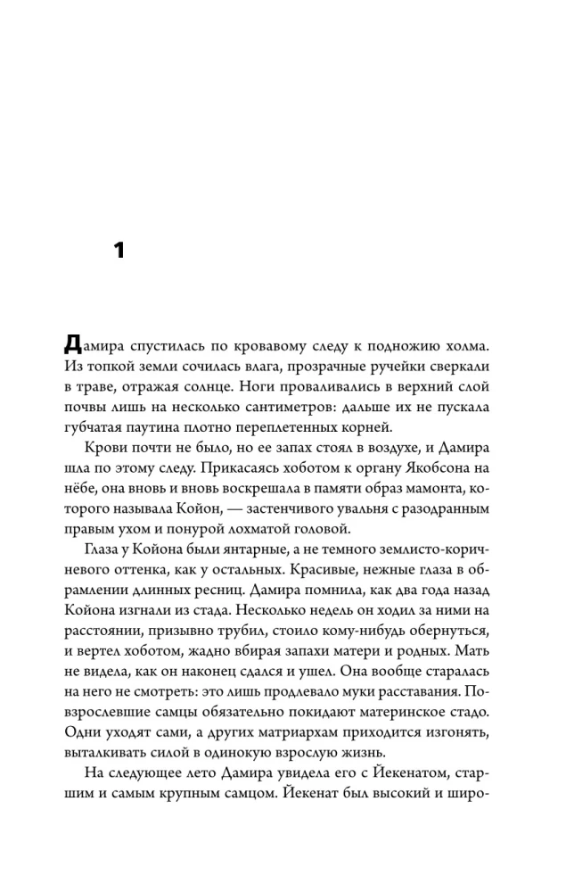 Эра Бивня