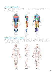 Der Mensch in Bewegung. Ein detaillierter anatomischer Kurs zur Zeichnung: von der allgemeinen Form bis zur Perspektive