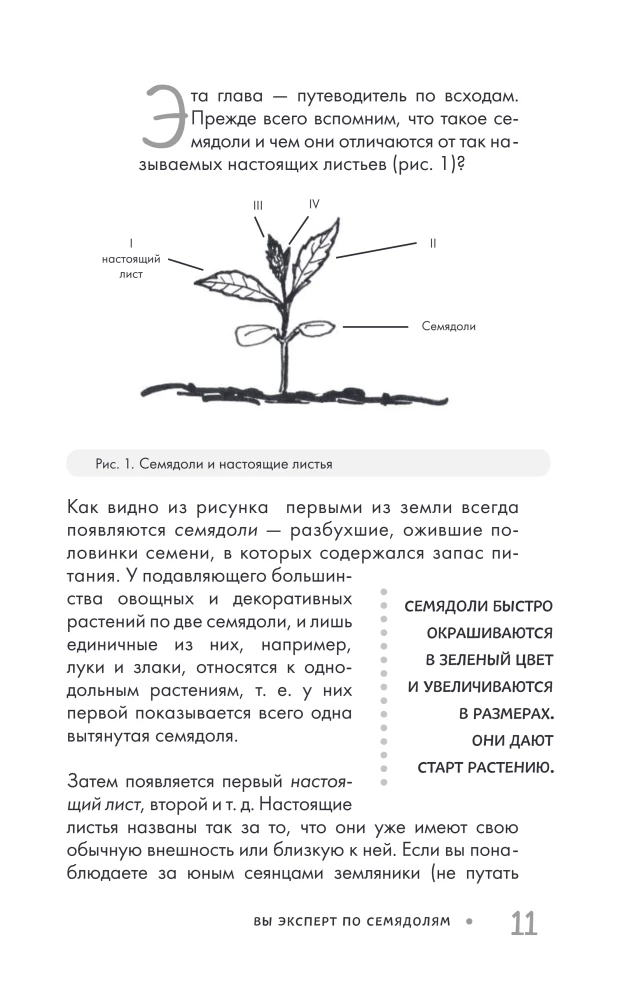 Огород без прополки. Лучшая стратегия в борьбе с сорняками