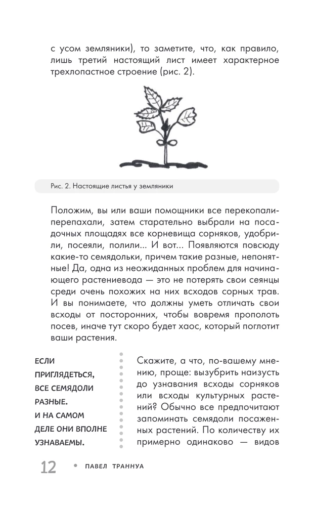 Огород без прополки. Лучшая стратегия в борьбе с сорняками