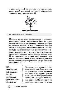 Огород без прополки. Лучшая стратегия в борьбе с сорняками