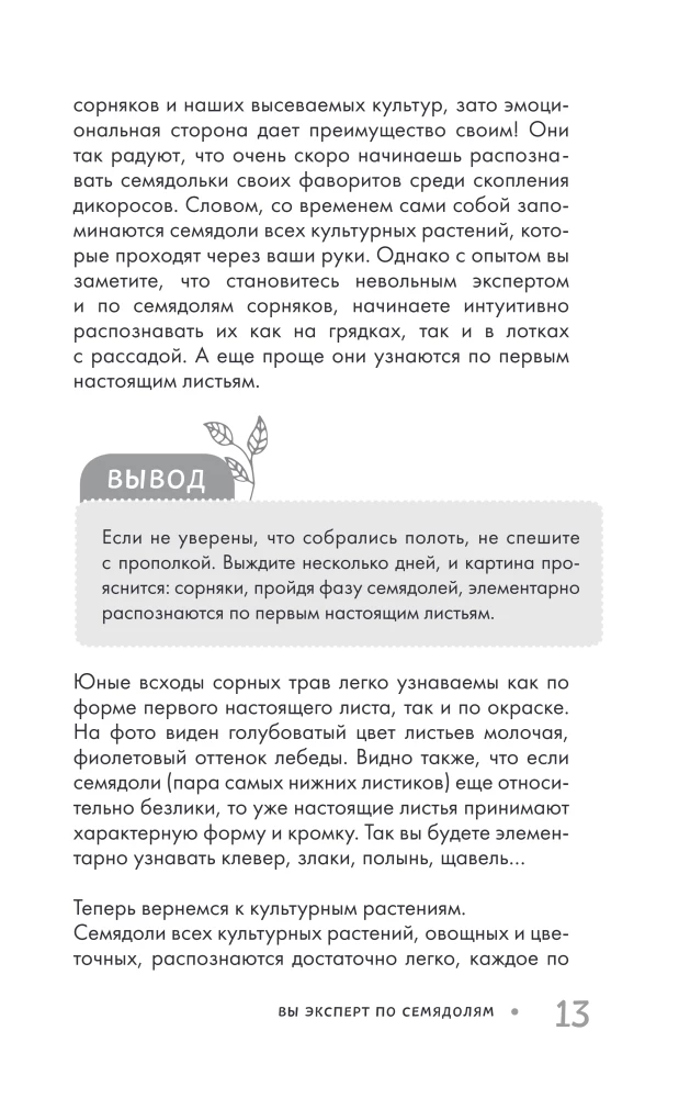 Огород без прополки. Лучшая стратегия в борьбе с сорняками