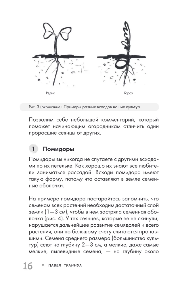Огород без прополки. Лучшая стратегия в борьбе с сорняками