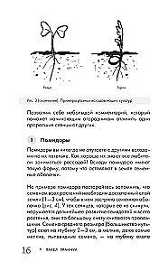 Огород без прополки. Лучшая стратегия в борьбе с сорняками