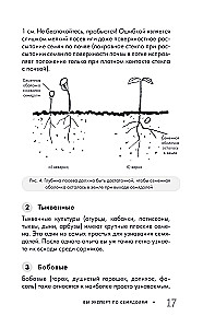 Огород без прополки. Лучшая стратегия в борьбе с сорняками