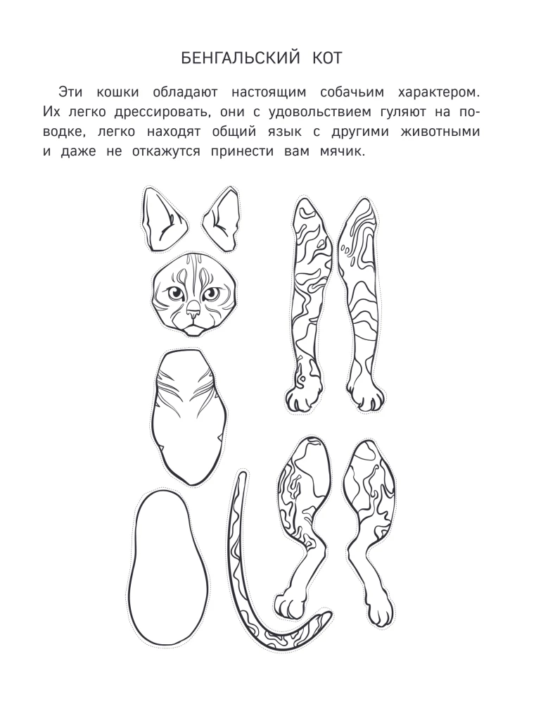 Papierowe koty. Papierowe psy. Papierowe dinozaury (zestaw 3 książek)