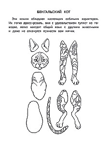 Papierowe koty. Papierowe psy. Papierowe dinozaury (zestaw 3 książek)