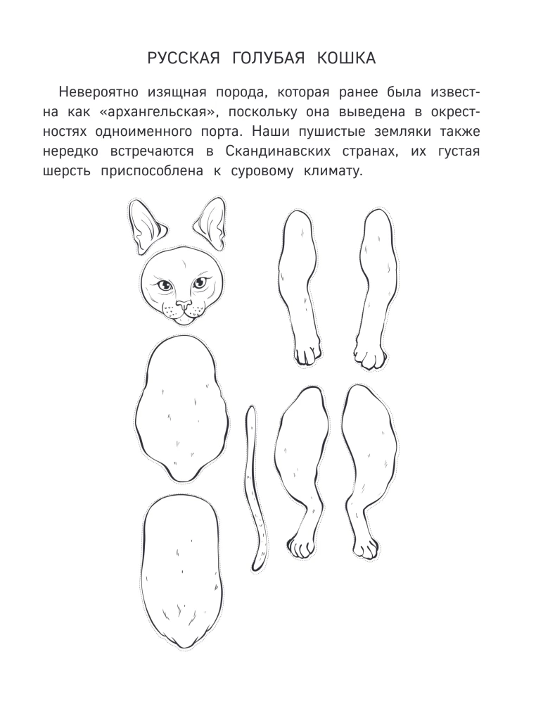Papierowe koty. Papierowe psy. Papierowe dinozaury (zestaw 3 książek)