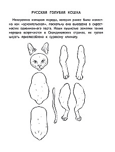 Papierowe koty. Papierowe psy. Papierowe dinozaury (zestaw 3 książek)