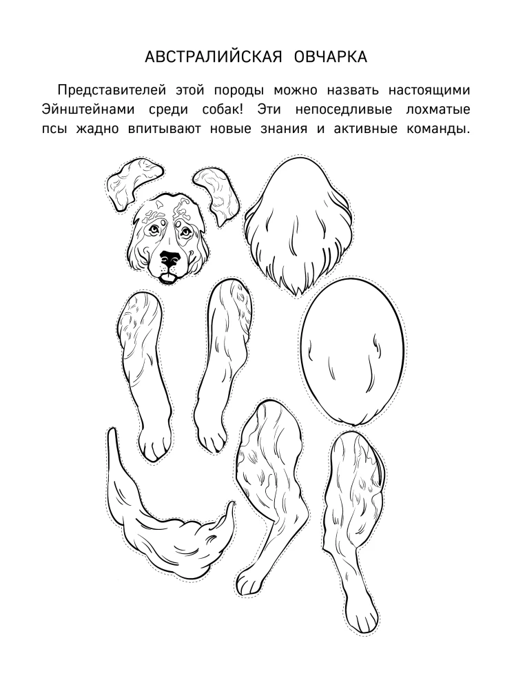 Papierowe koty. Papierowe psy. Papierowe dinozaury (zestaw 3 książek)