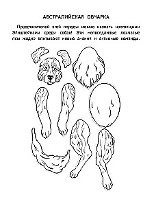 Papierowe koty. Papierowe psy. Papierowe dinozaury (zestaw 3 książek)