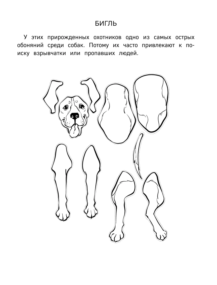 Papierowe koty. Papierowe psy. Papierowe dinozaury (zestaw 3 książek)