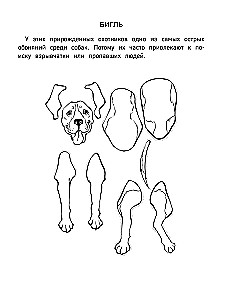 Papierowe koty. Papierowe psy. Papierowe dinozaury (zestaw 3 książek)