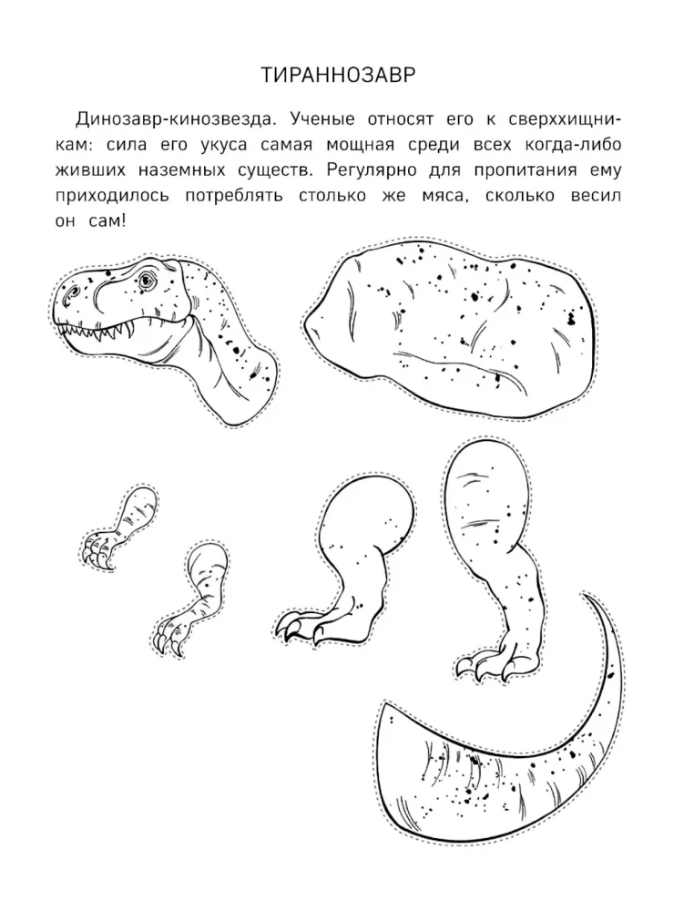 Papierowe koty. Papierowe psy. Papierowe dinozaury (zestaw 3 książek)