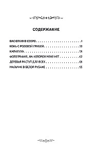 Wasyutkins See. Erzählungen