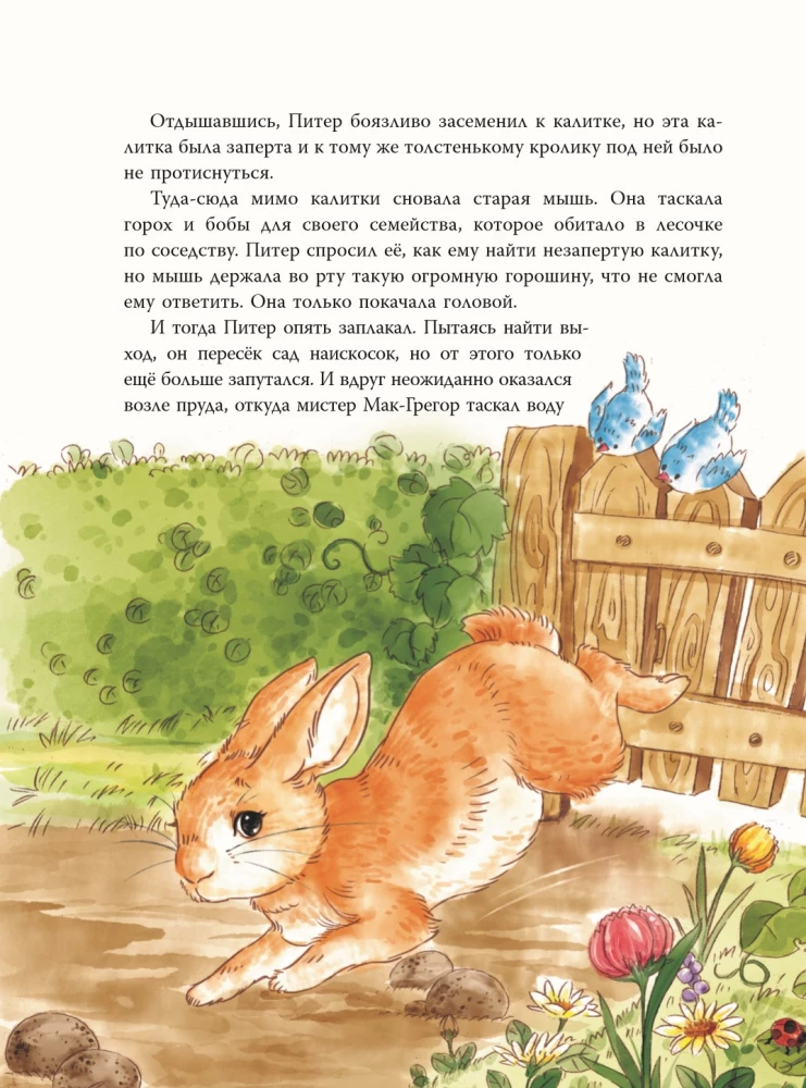 Piotruś Królik i inni