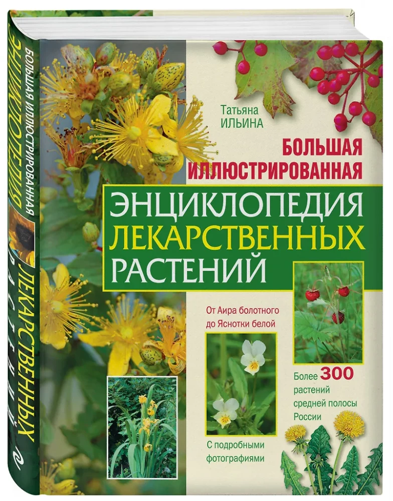Большая иллюстрированная энциклопедия лекарственных растений