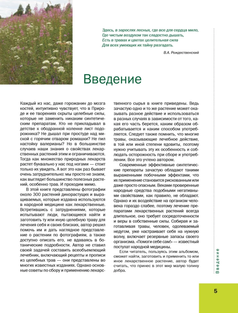 Большая иллюстрированная энциклопедия лекарственных растений