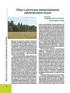 Большая иллюстрированная энциклопедия лекарственных растений