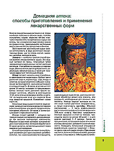Большая иллюстрированная энциклопедия лекарственных растений