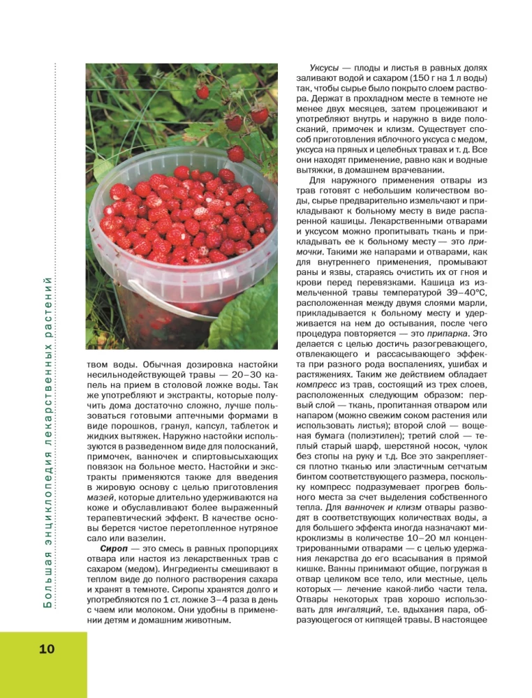 Большая иллюстрированная энциклопедия лекарственных растений