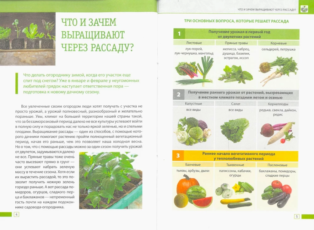 Рассада без ошибок. Как вырастить богатый урожай своими руками