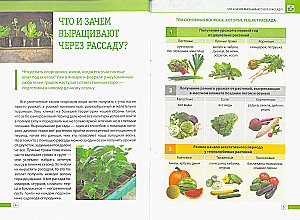 Рассада без ошибок. Как вырастить богатый урожай своими руками