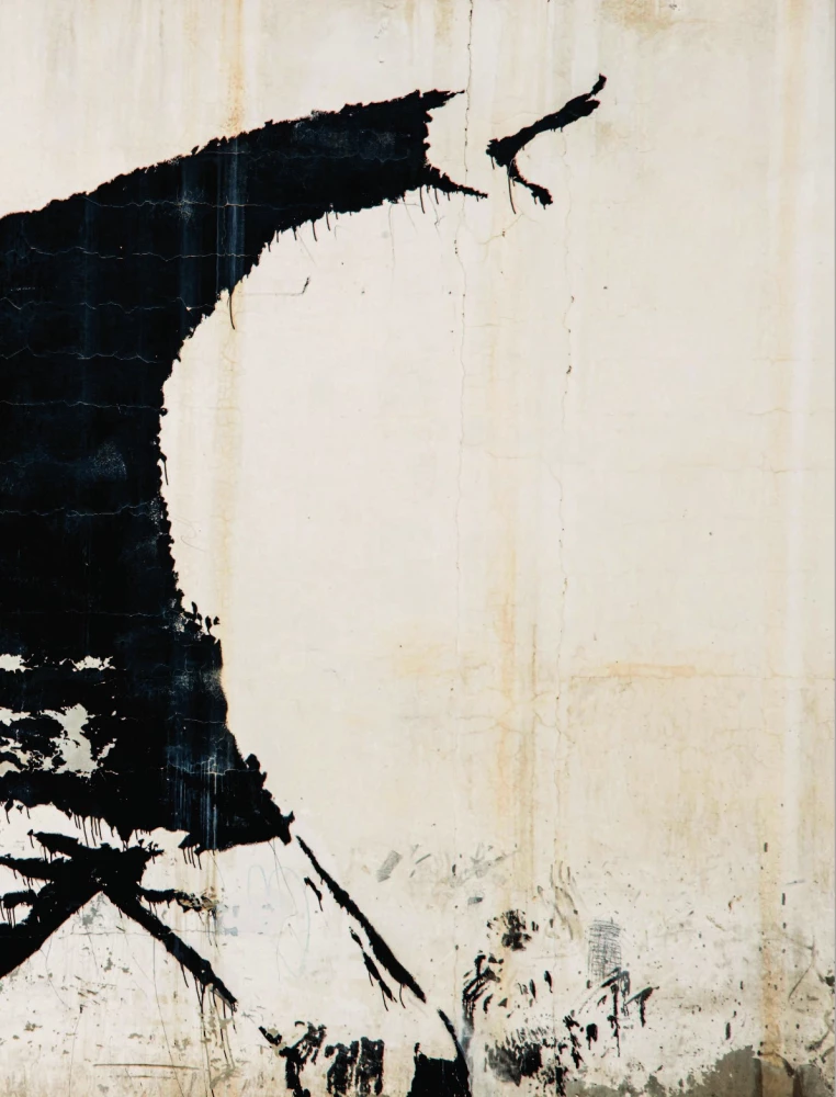 Banksy. Neoficiali biografija