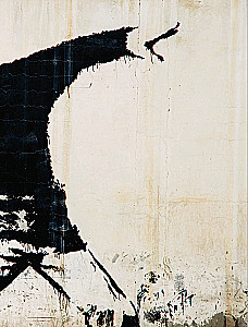 Banksy. Neoficiali biografija