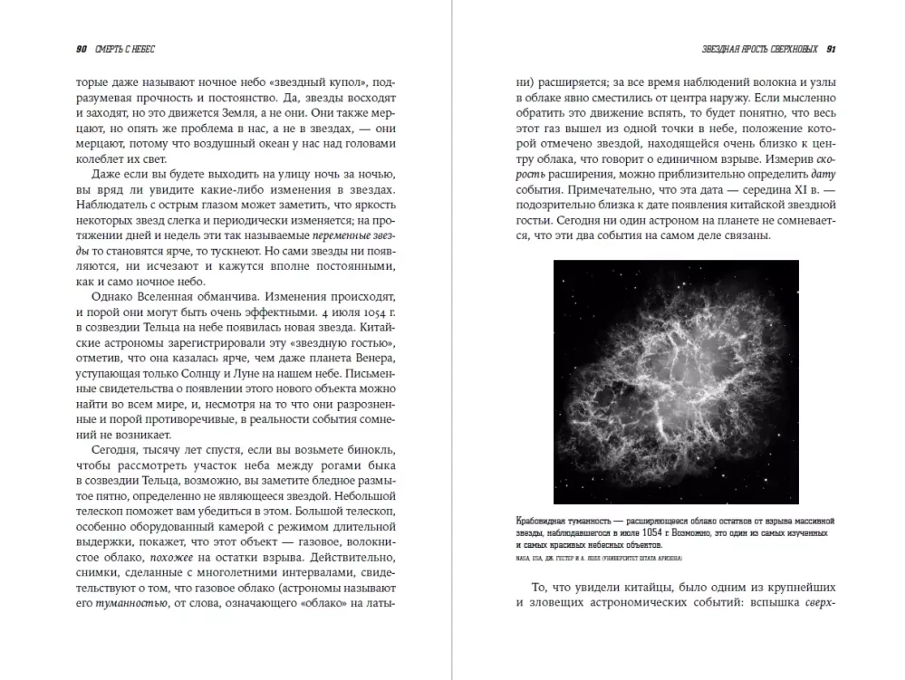Der Tod vom Himmel: Die Wissenschaft vom Ende der Welt