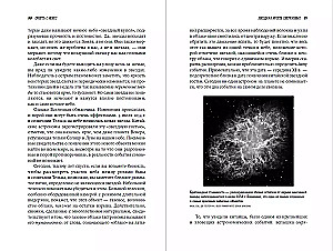 Der Tod vom Himmel: Die Wissenschaft vom Ende der Welt