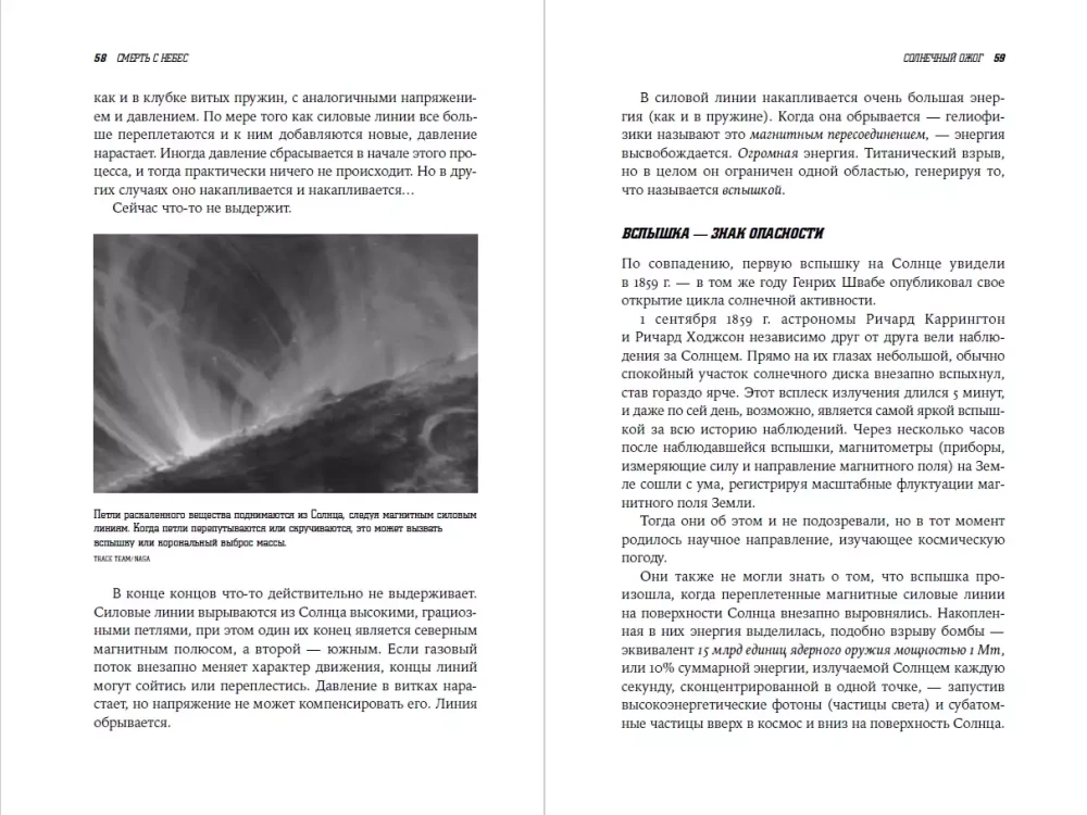 Der Tod vom Himmel: Die Wissenschaft vom Ende der Welt