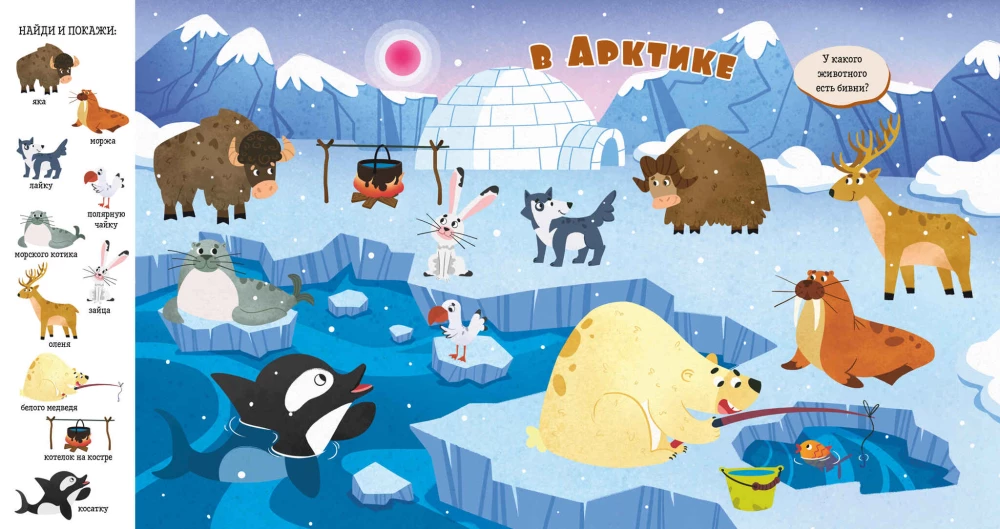 Find and Show, Baby. Animals