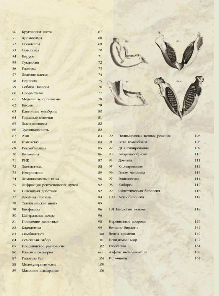 Biology. Big Encyclopedia