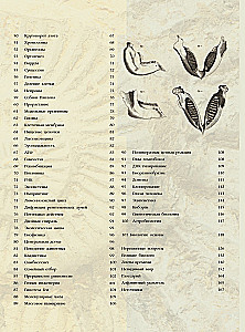 Biology. Big Encyclopedia