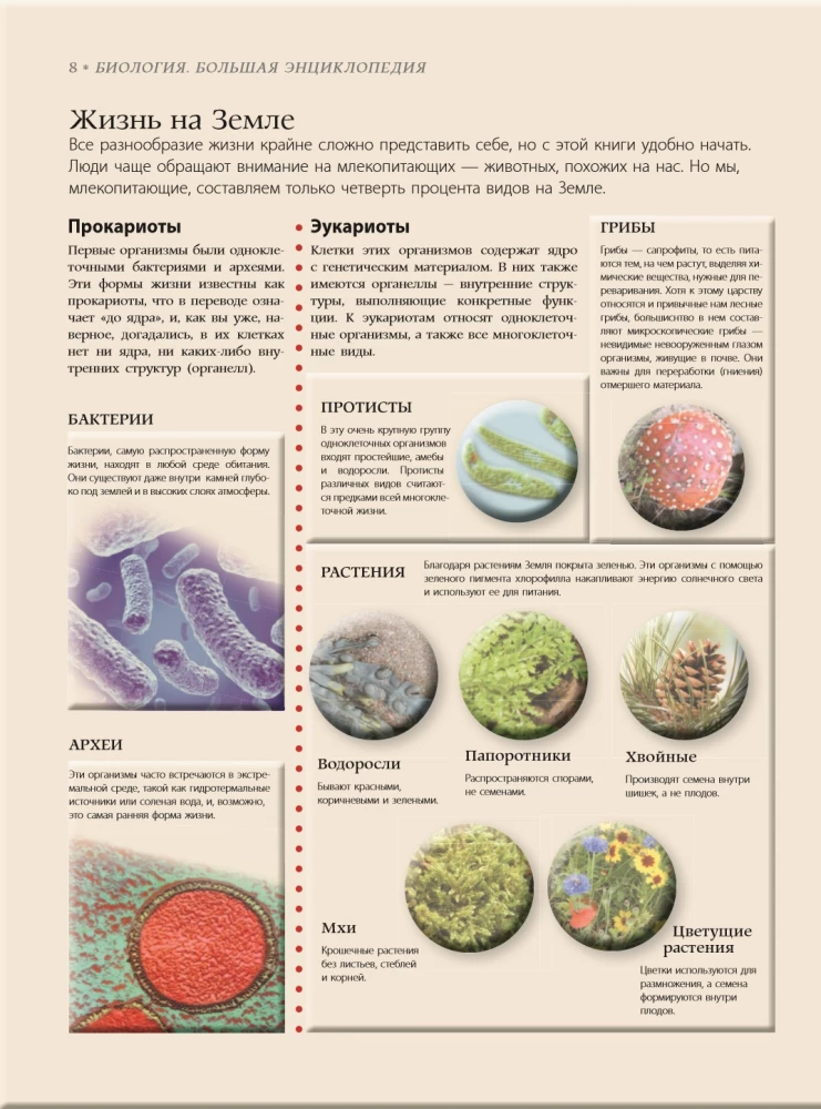 Biology. Big Encyclopedia