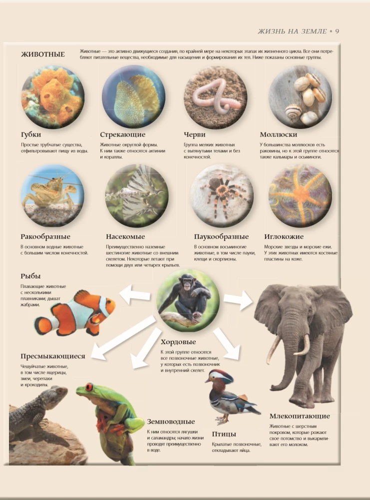 Biology. Big Encyclopedia