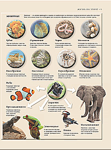 Biology. Big Encyclopedia