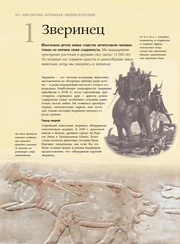 Biology. Big Encyclopedia
