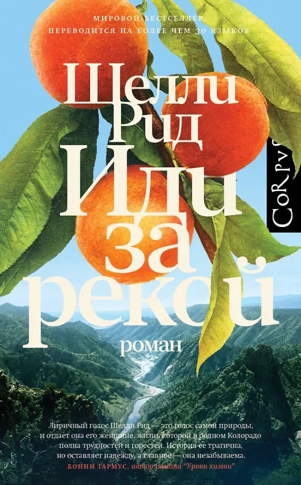 Иди за рекой: роман