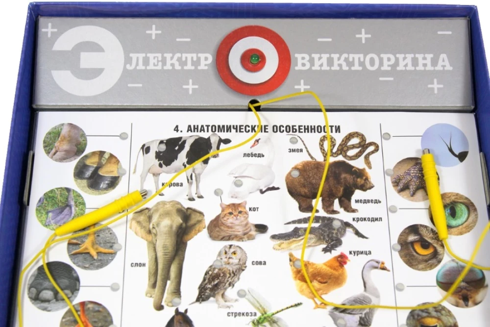 Spēle - Dzīvā daba