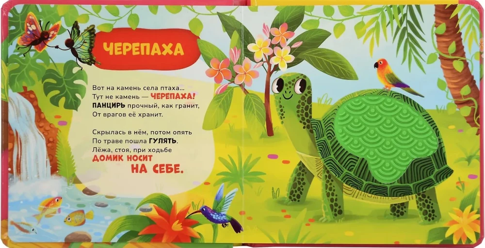 Książka dotykowa z wierszami. W zoo