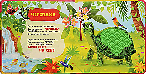 Książka dotykowa z wierszami. W zoo