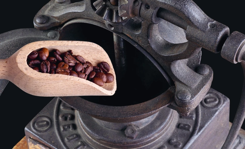 Die Philosophie des Kaffees. Vom Korn zum perfekten Getränk