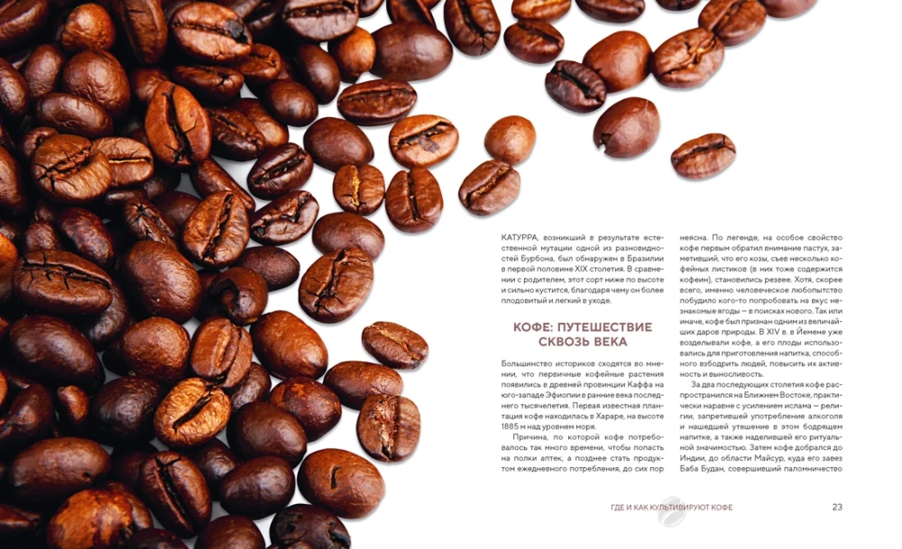 Die Philosophie des Kaffees. Vom Korn zum perfekten Getränk