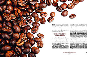 Die Philosophie des Kaffees. Vom Korn zum perfekten Getränk