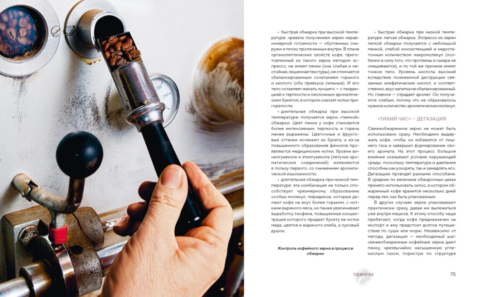 Die Philosophie des Kaffees. Vom Korn zum perfekten Getränk
